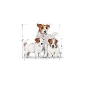 ROYAL CANIN® Mini Starter 3kg
